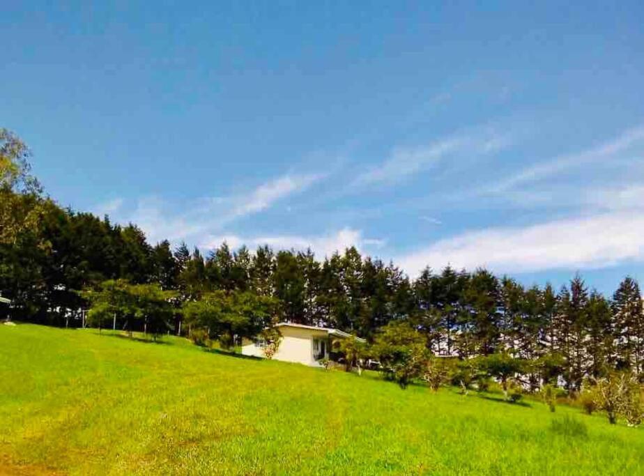 With An Incredible View To The